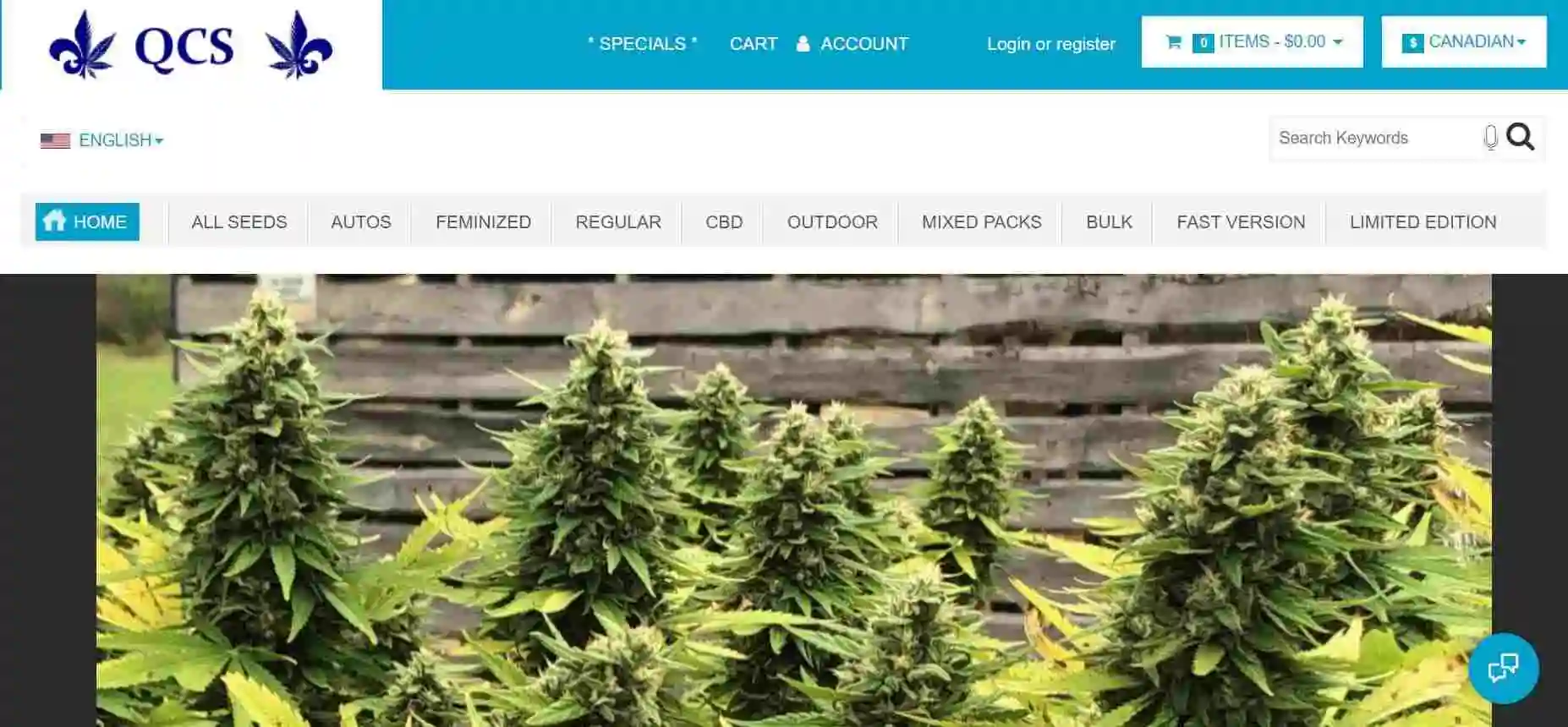 Quebec Cannabis Seeds Review