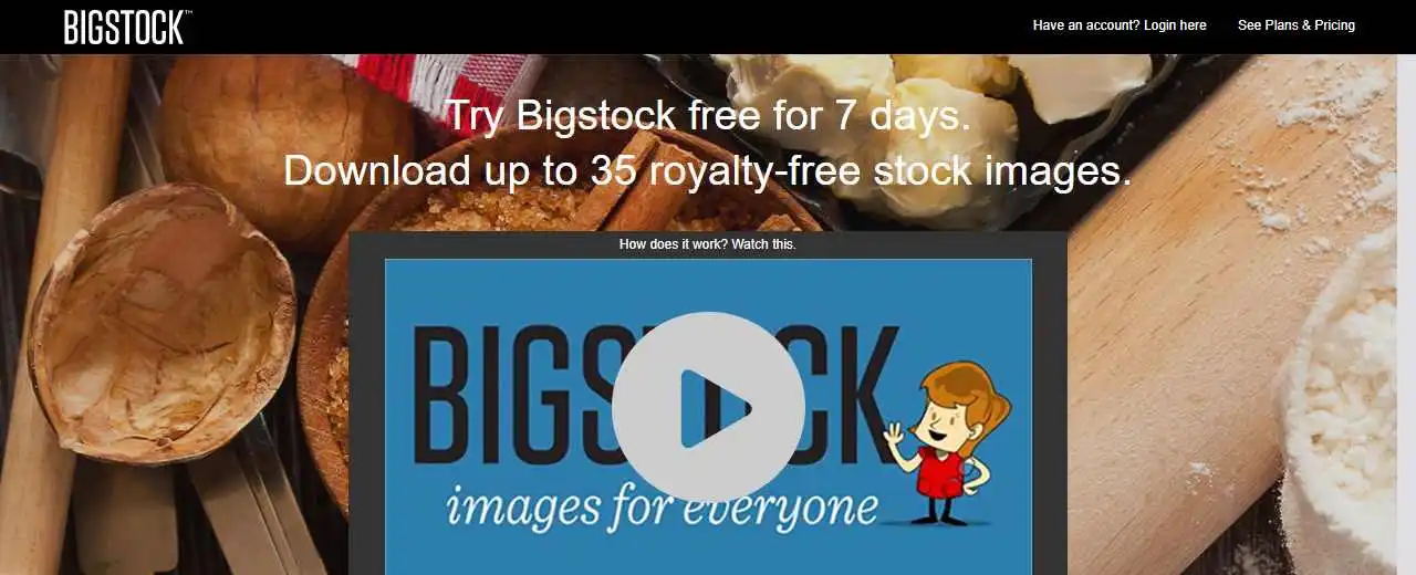 BigStock Discount